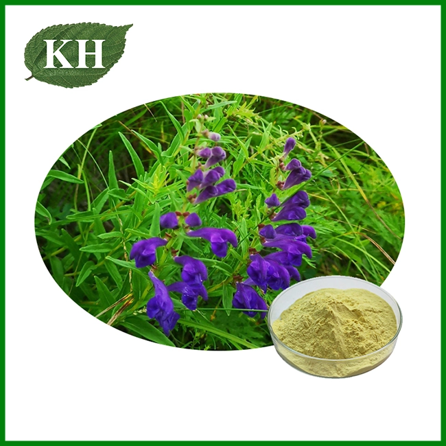 Scutellaria Baicalensis Extract